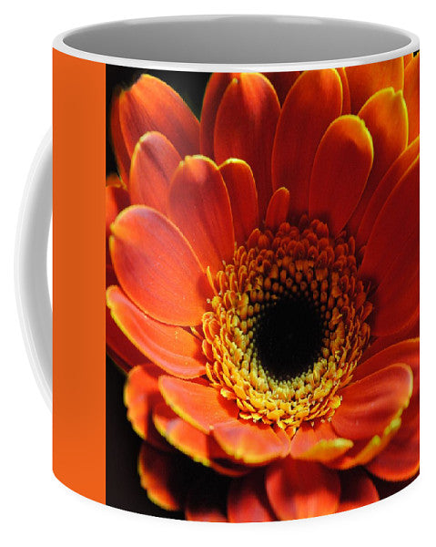 Orange Daisy On Black - Mug