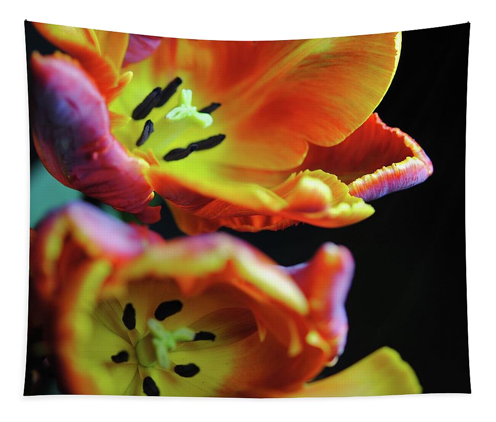 Orange Open Parrot Tulips - Tapestry