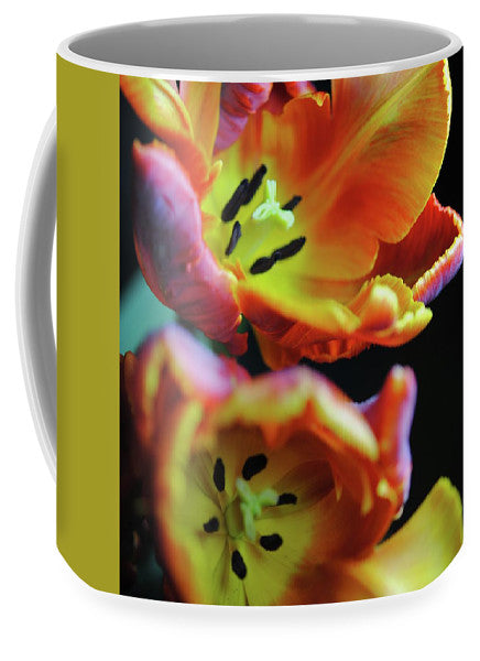 Orange Open Parrot Tulips - Mug