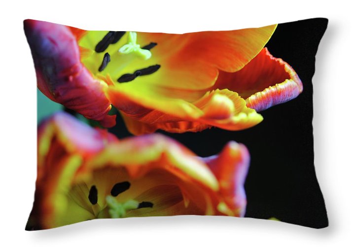 Orange Open Parrot Tulips - Throw Pillow