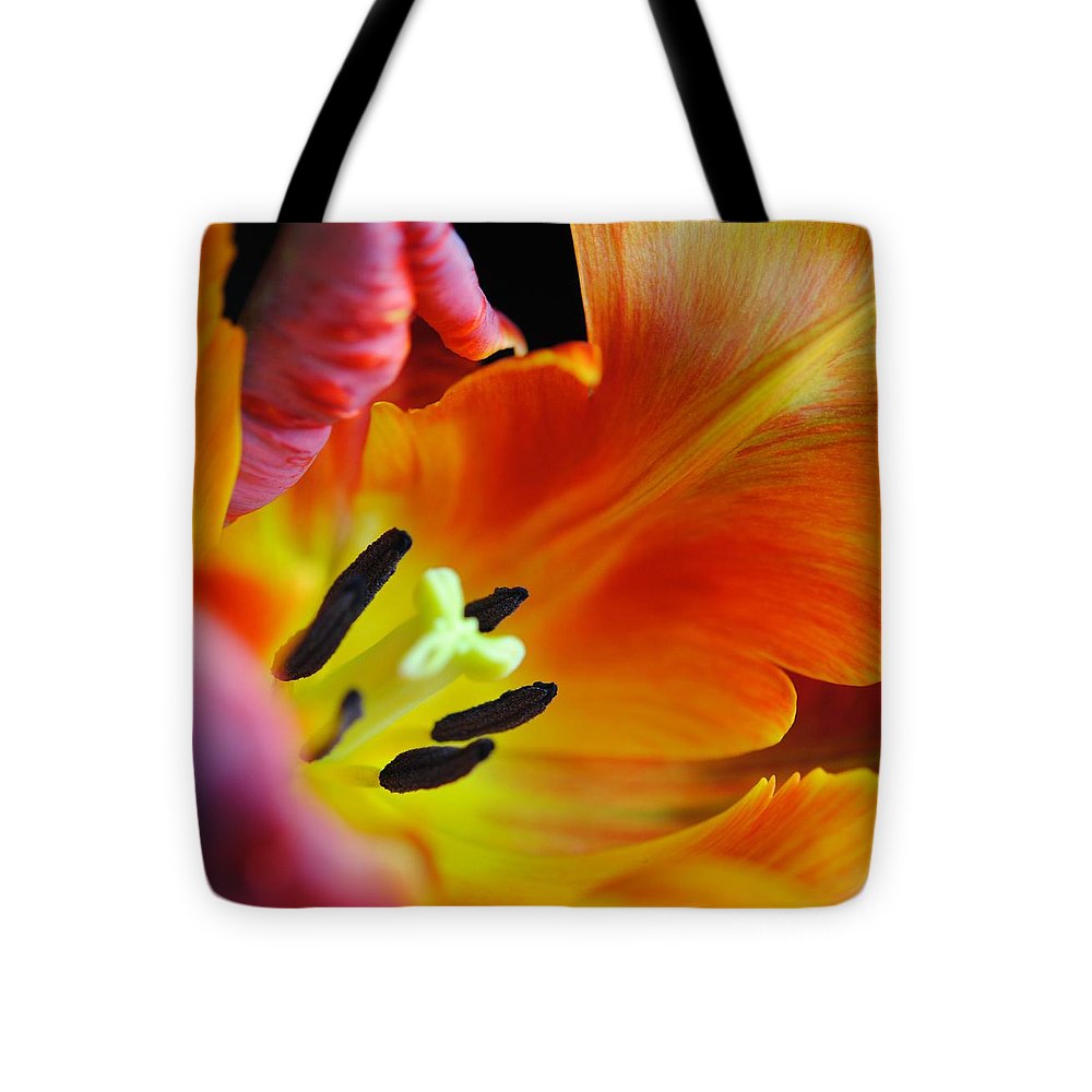 Orange Parrot Tulip Close Up - Tote Bag