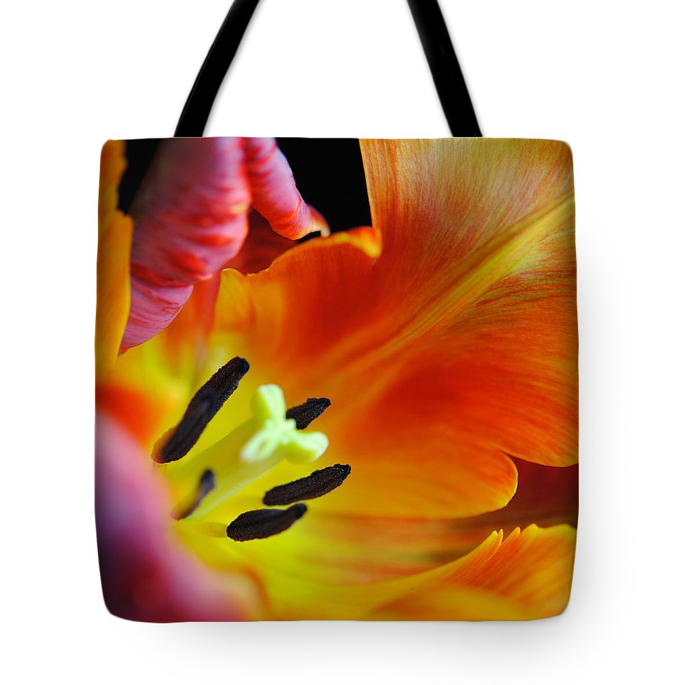 Orange Parrot Tulip Close Up - Tote Bag