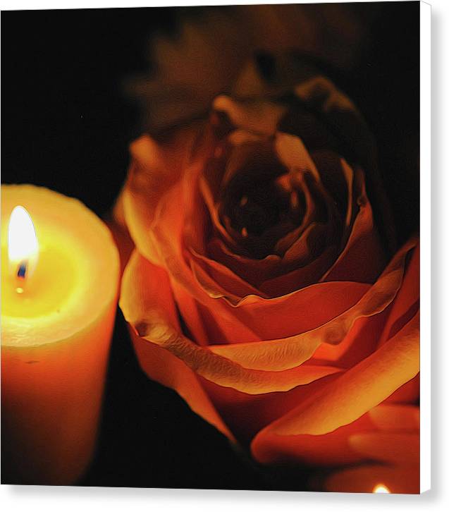 Orange Rose By Candle Light - Canvas Print