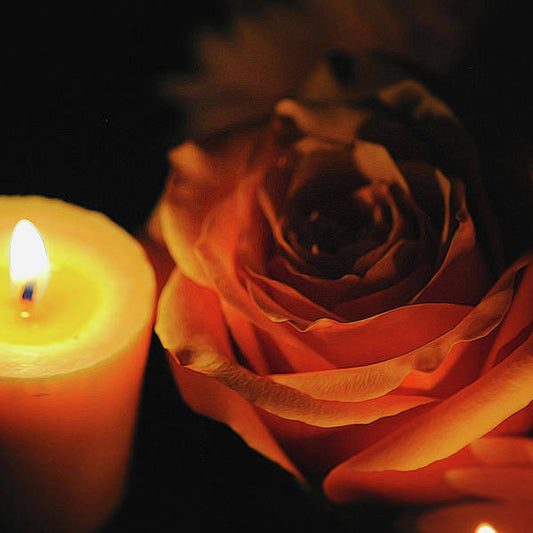 Orange Rose By Candle Light - Art Print