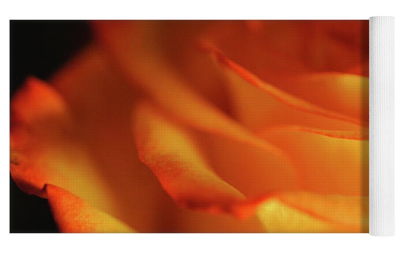 Orange Rose Close Up - Yoga Mat
