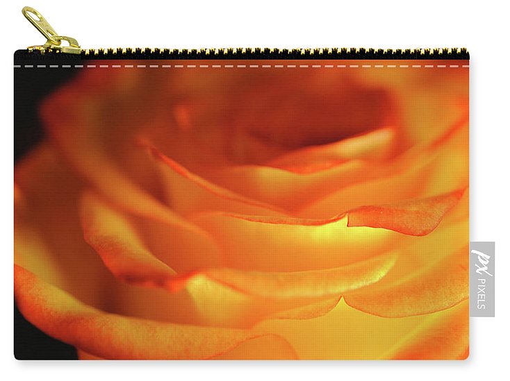 Orange Rose Close Up - Carry-All Pouch