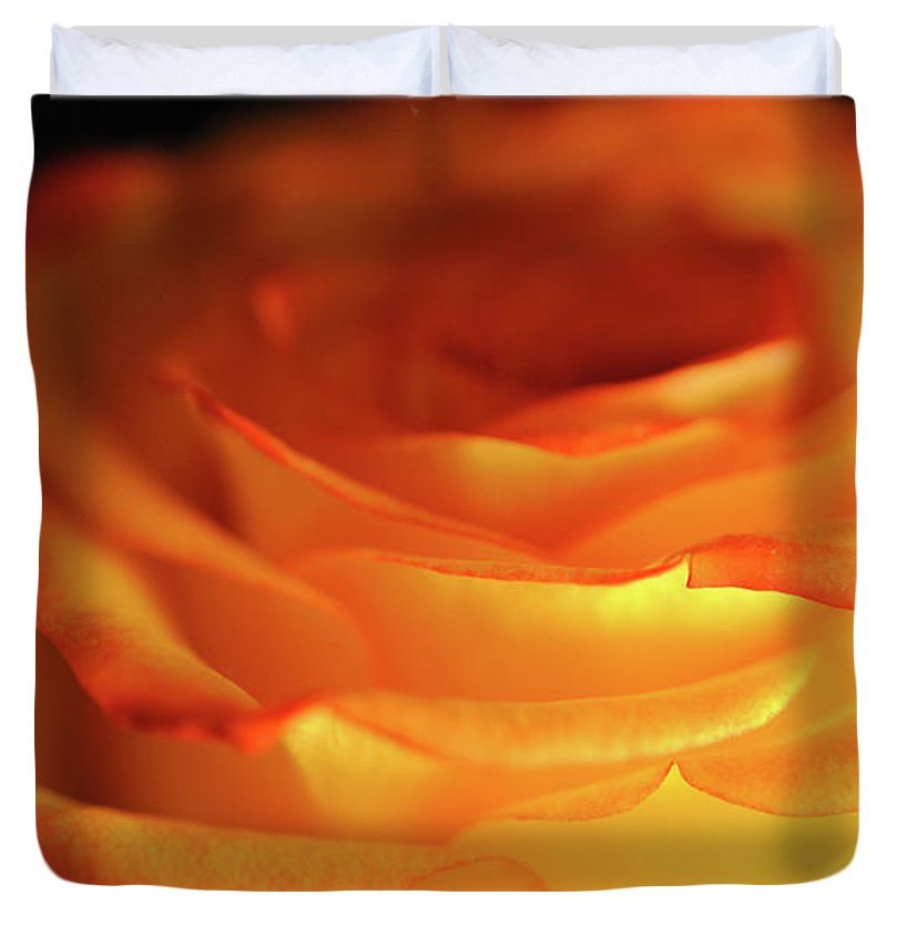 Orange Rose Close Up - Duvet Cover
