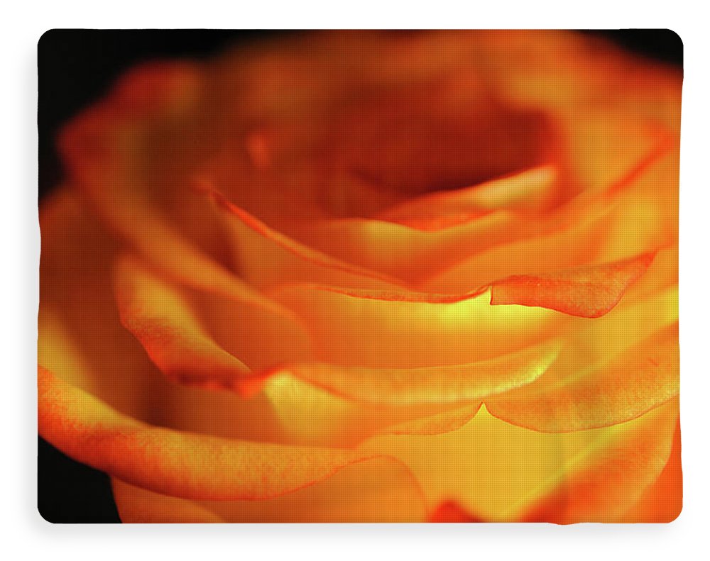 Orange Rose Close Up - Blanket