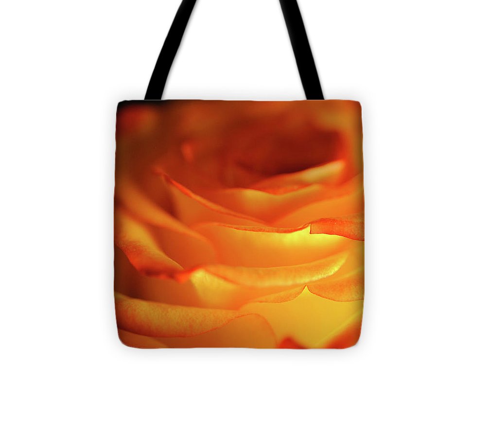 Orange Rose Close Up - Tote Bag
