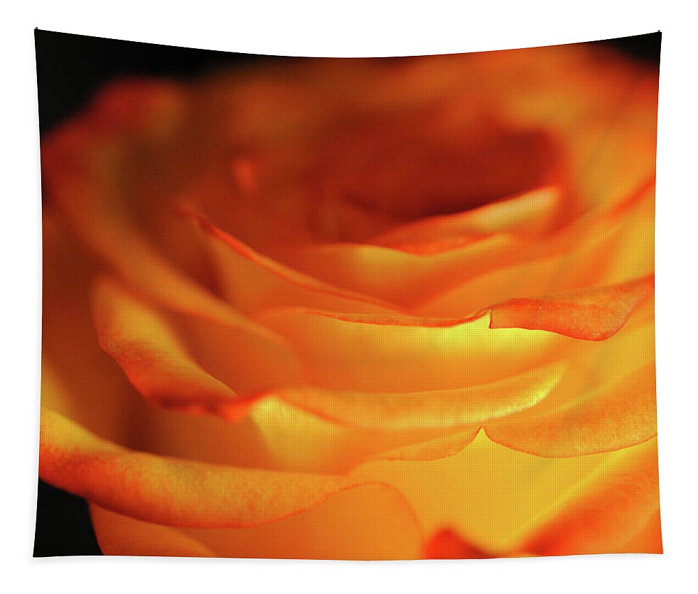Orange Rose Close Up - Tapestry