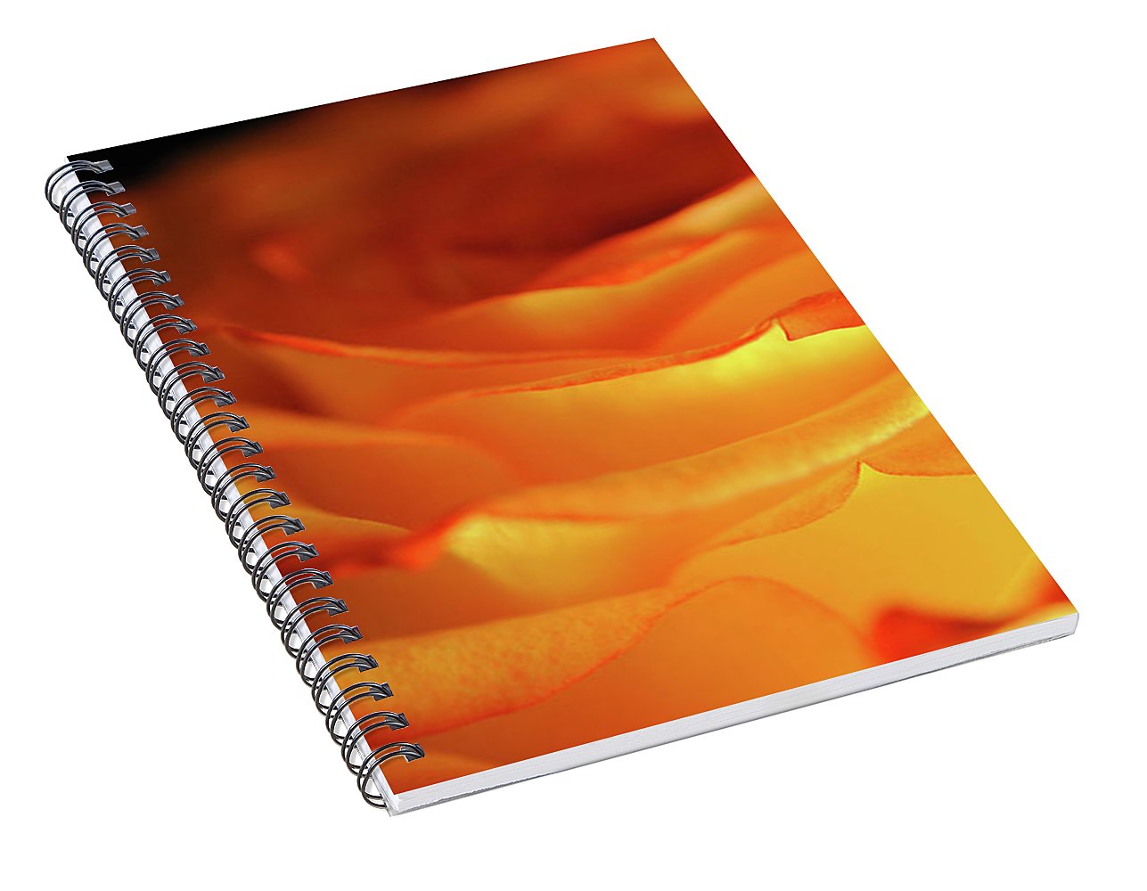 Orange Rose Close Up - Spiral Notebook