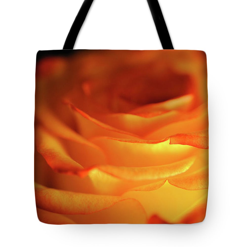 Orange Rose Close Up - Tote Bag