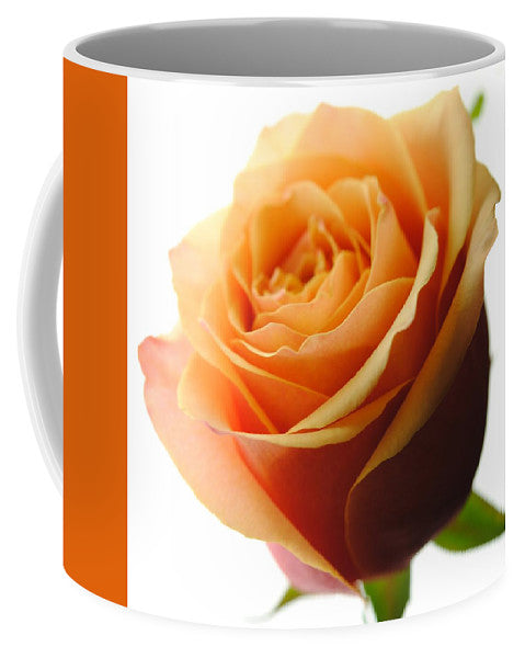 Orange Rose On White - Mug