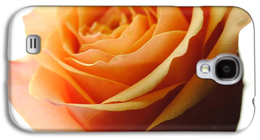 Orange Rose On White - Phone Case