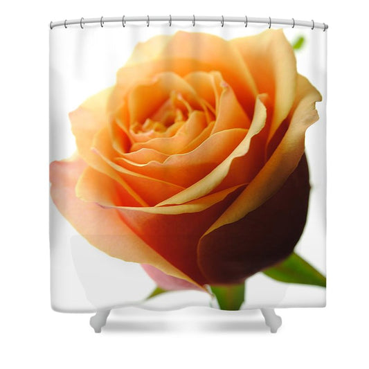 Orange Rose On White - Shower Curtain