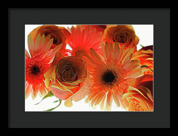 Orange Rose Pink Daisy - Framed Print