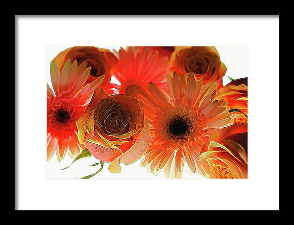 Orange Rose Pink Daisy - Framed Print