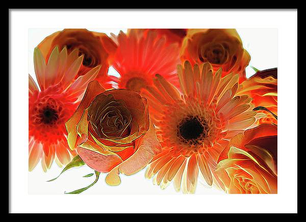 Orange Rose Pink Daisy - Framed Print