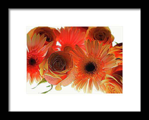 Orange Rose Pink Daisy - Framed Print