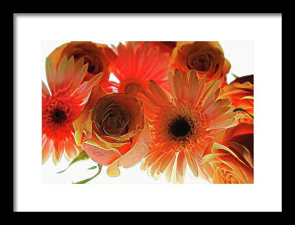 Orange Rose Pink Daisy - Framed Print