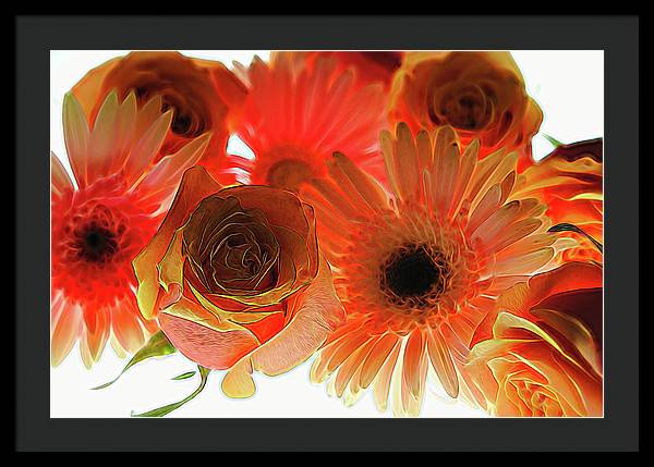 Orange Rose Pink Daisy - Framed Print