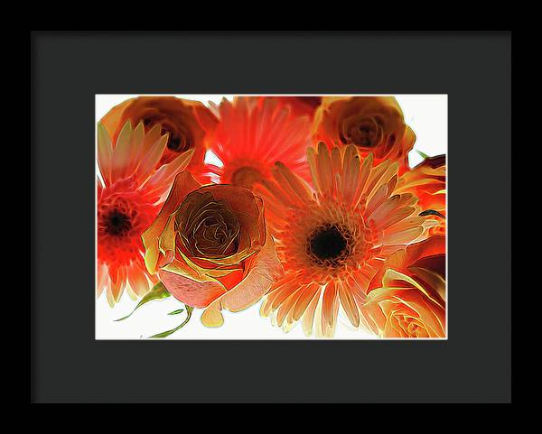 Orange Rose Pink Daisy - Framed Print