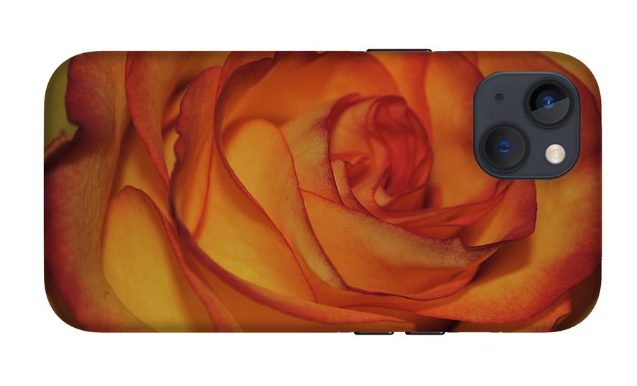 Orange Rose Portrait - Phone Case