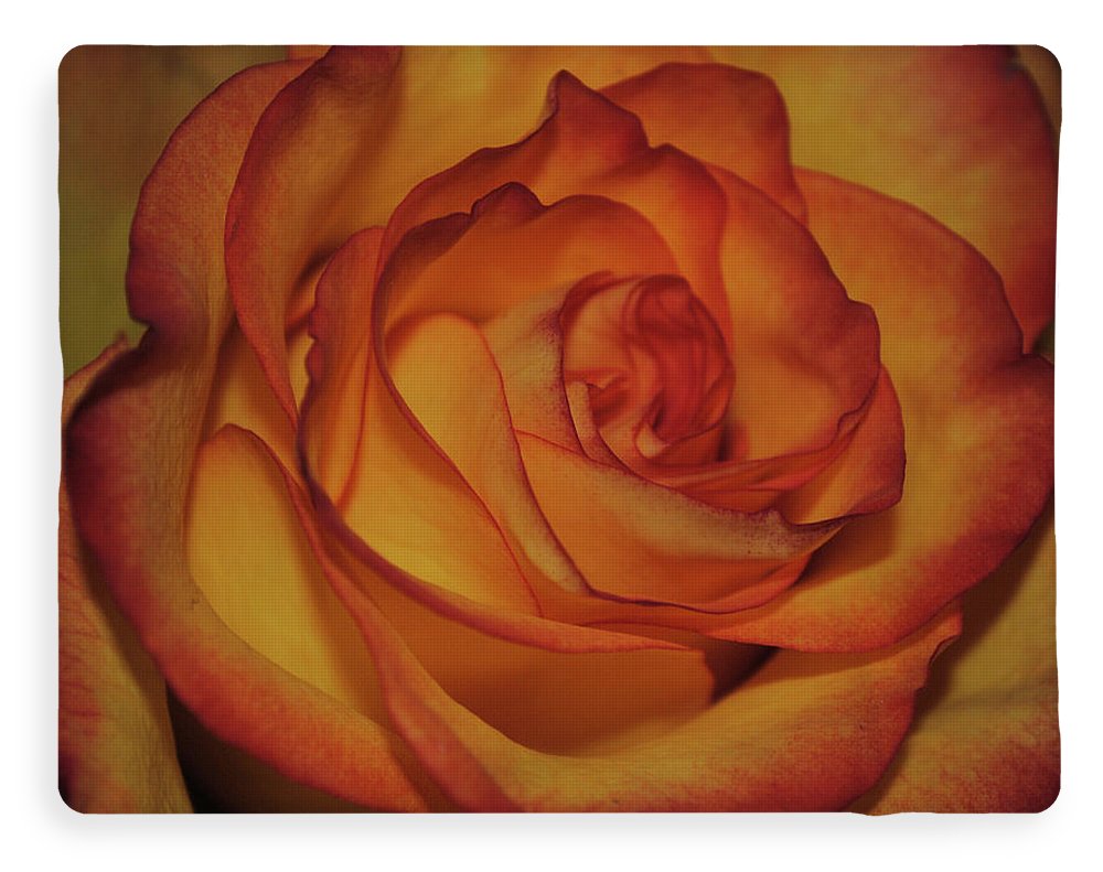 Orange Rose Portrait - Blanket