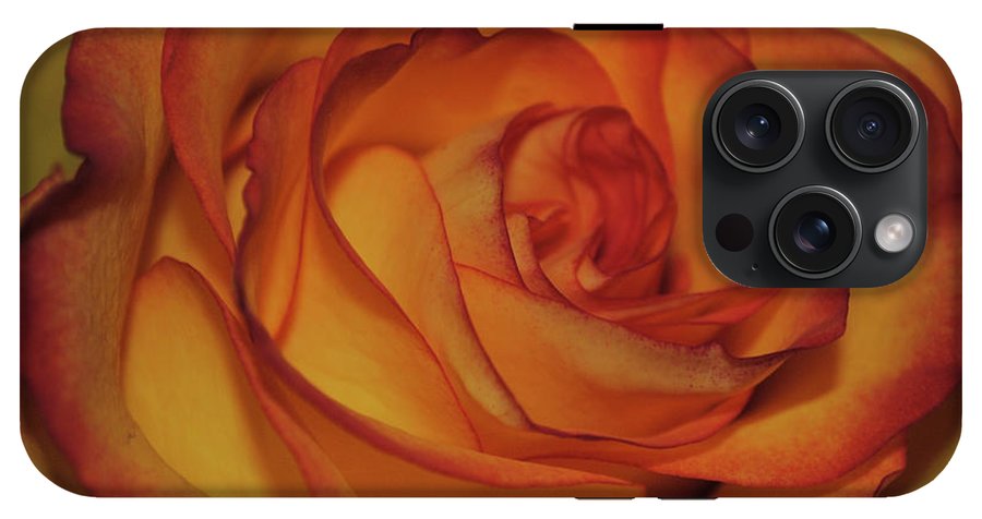Orange Rose Portrait - Phone Case