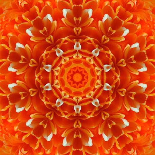 Orange Petals Kaleidoscope Digital Image Download