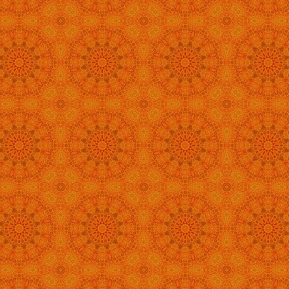 Sliced Oranges Kaleidoscope Digital Image Download