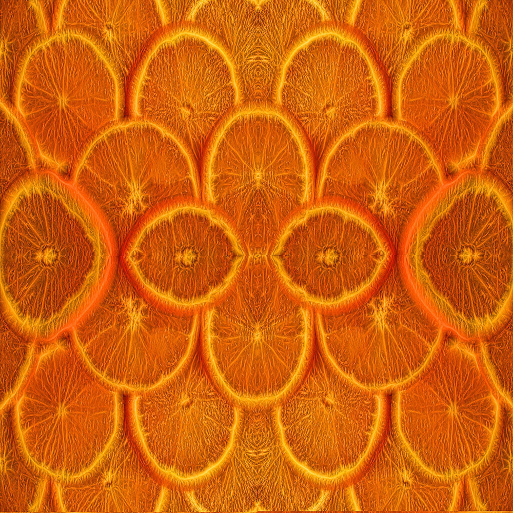 Orange Slices Digital Image Download