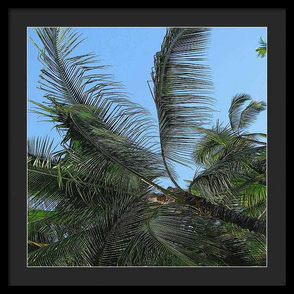 Palm Tree - Framed Print