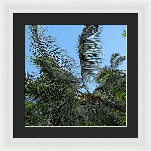 Palm Tree - Framed Print