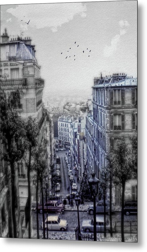Paris Street From Above - Metal Print