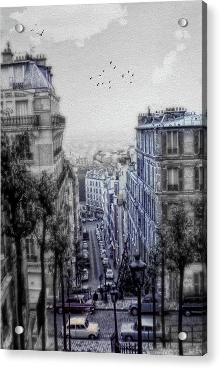 Paris Street From Above - Acrylic Print