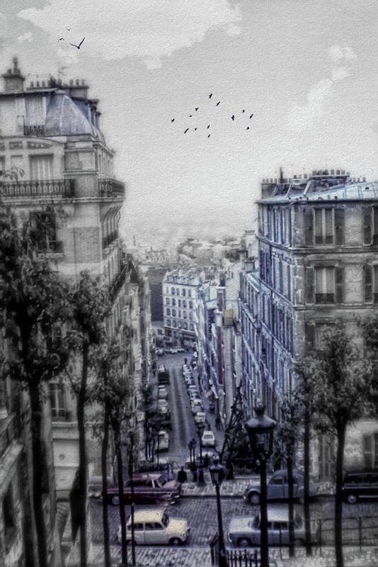 Paris Street From Above - Art Print