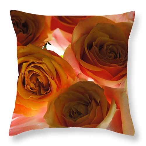 Pastel Pink and Orange Roses on White - Throw Pillow