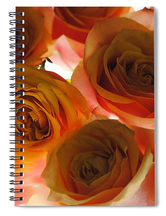 Pastel Pink and Orange Roses on White - Spiral Notebook