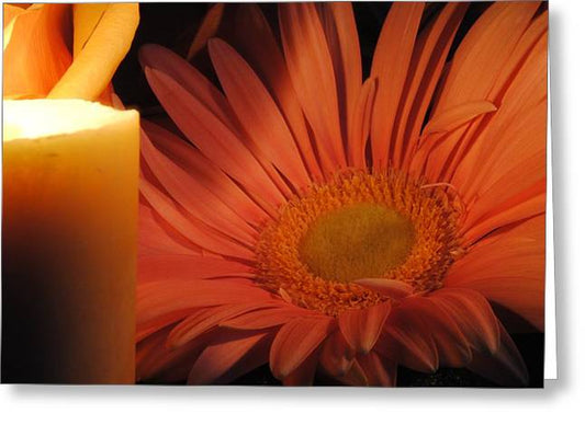 Pastel Pink Daisy With Candle - Greeting Card