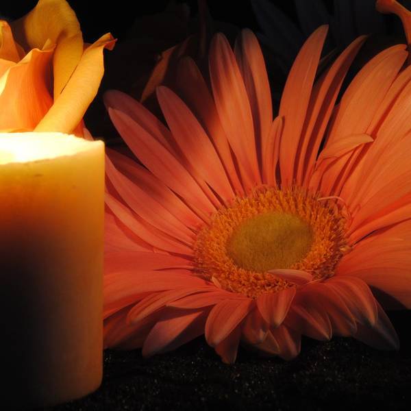 Pastel Pink Daisy With Candle - Art Print