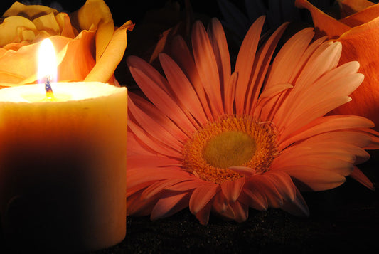 Pastel Pink Daisy With Candle Digital Image Download