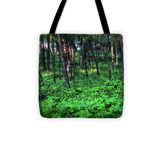 Patchy Sunlight in The Woods - Tote Bag