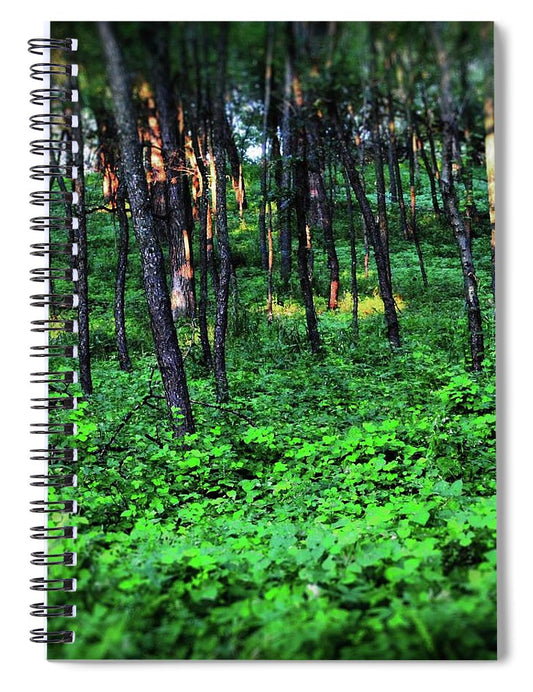 Patchy Sunlight in The Woods - Spiral Notebook