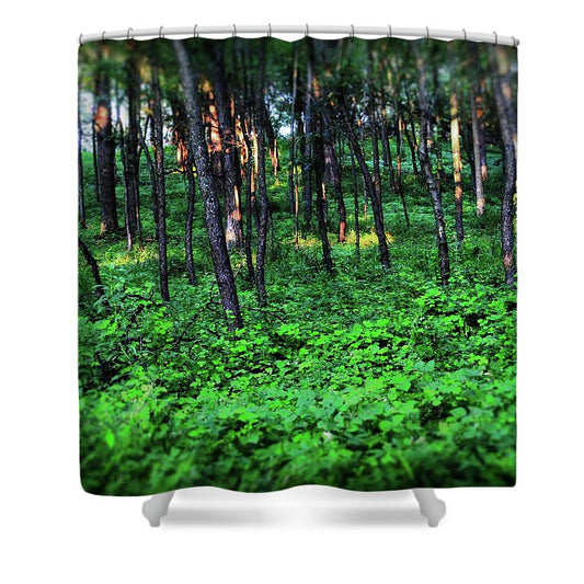 Patchy Sunlight in The Woods - Shower Curtain