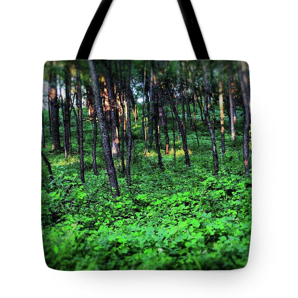 Patchy Sunlight in The Woods - Tote Bag