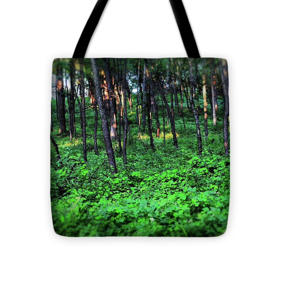 Patchy Sunlight in The Woods - Tote Bag