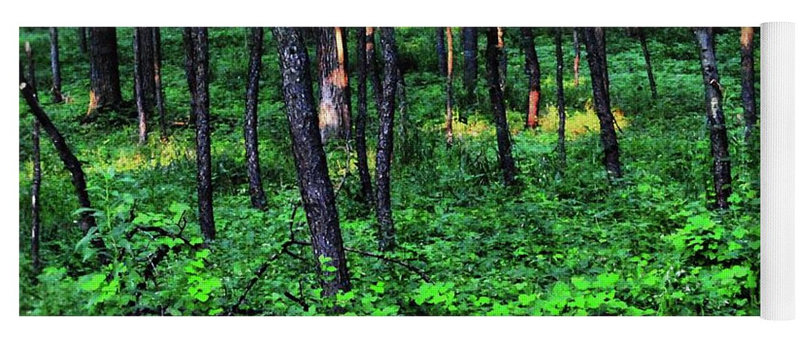 Patchy Sunlight in The Woods - Yoga Mat