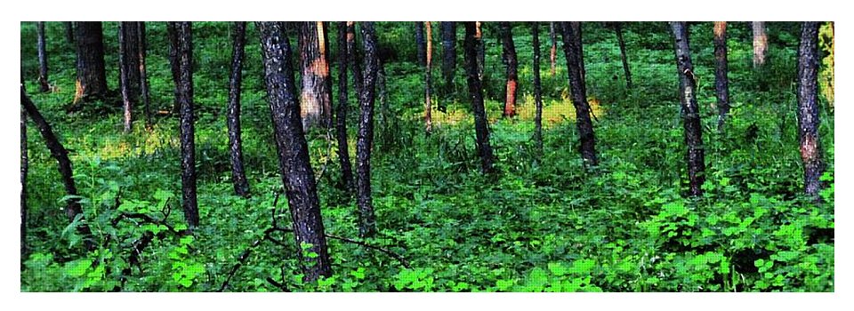 Patchy Sunlight in The Woods - Yoga Mat