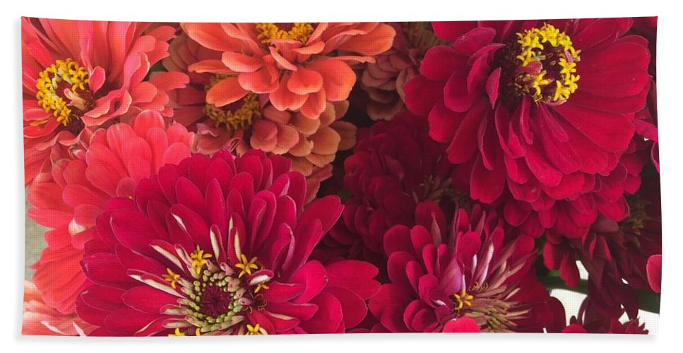 Peach and Pink Zinnias - Bath Towel